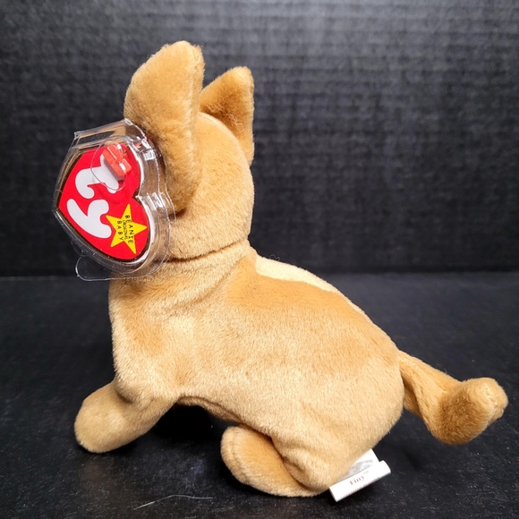 TY Beanie Babies Tiny The Chihuahua - Picture 5 of 11